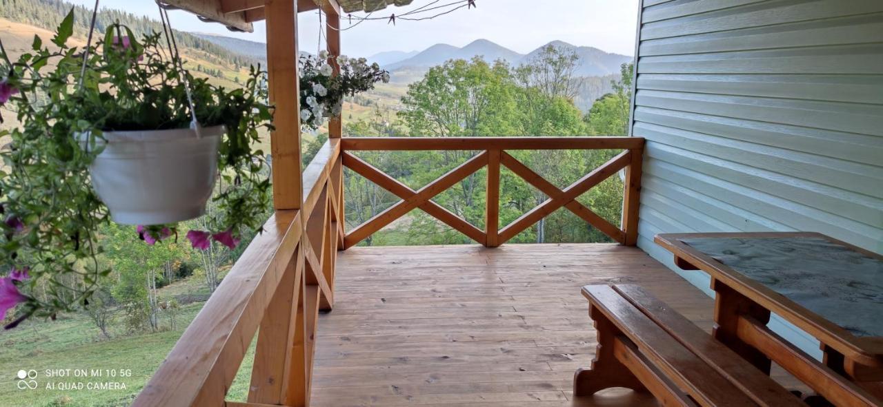 Green House Panorama Karpat فولوسيانكا المظهر الخارجي الصورة