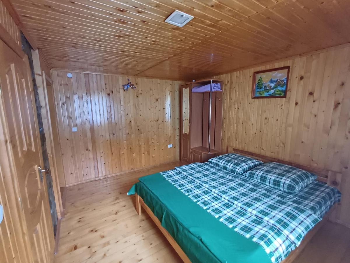 Green House Panorama Karpat فولوسيانكا المظهر الخارجي الصورة